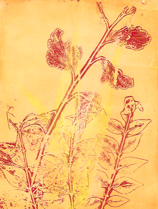 print of Alazarin crimson stems and leaves on deep yellow background